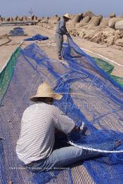 Image du Maroc Professionnelle de  Des ouvriers s'activent à réparer leurs filets de pêches au port de Laayoune, située à quelque kilomètre de la ville de Laayoune capitale du Sahara marocain, Vendredi 21 Septembre 2001. (Photo / Abdeljalil Bounhar)